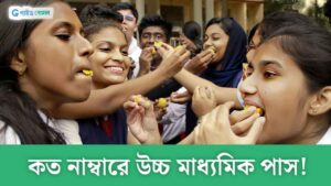 High Secondary Exam: কত নাম্বারে উচ্চমাধ্যমিকে পাস! জানুন নাম্বার ও গ্রেডসমূহ
